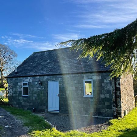 Morvoren Cottage Launceston Eksteriør billede